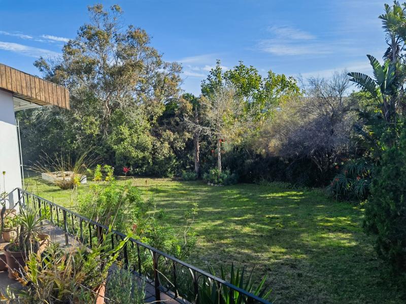 To Let 4 Bedroom Property for Rent in Upper Robberg Western Cape